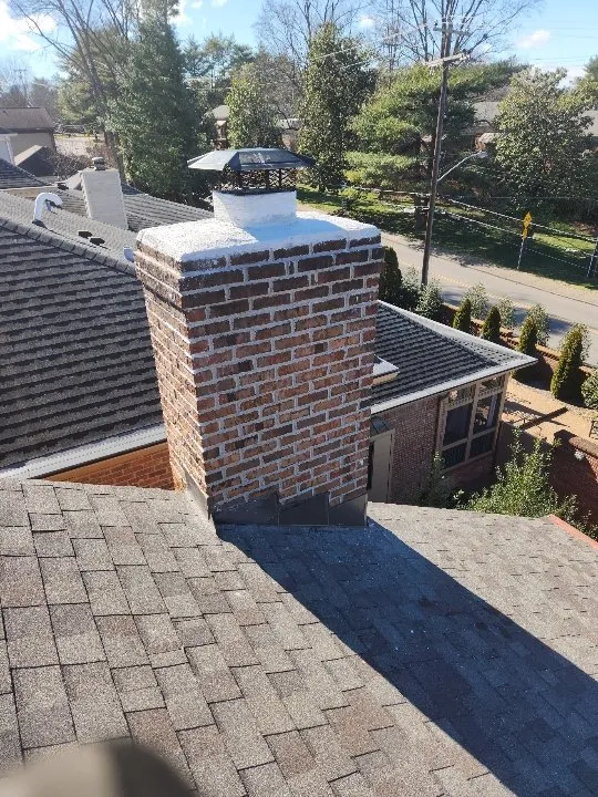 Slide of Choppers Tree Trimming And Services