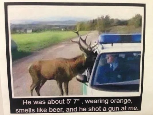 Chris' Plumbing & Drain Logo