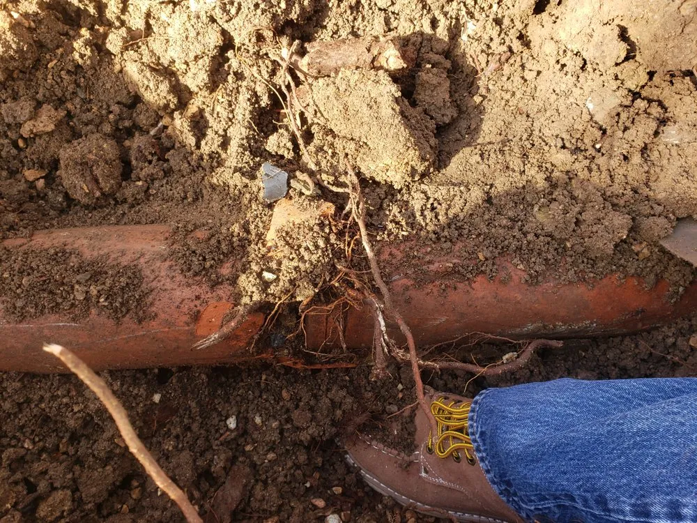 Affordable emergency plumbing experts serving Prescott Valley, AZ - Chris' Plumbing & Repair