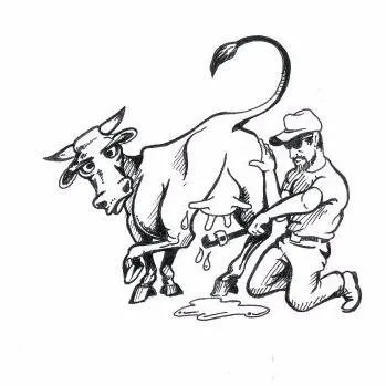 Slide of Chris' Plumbing