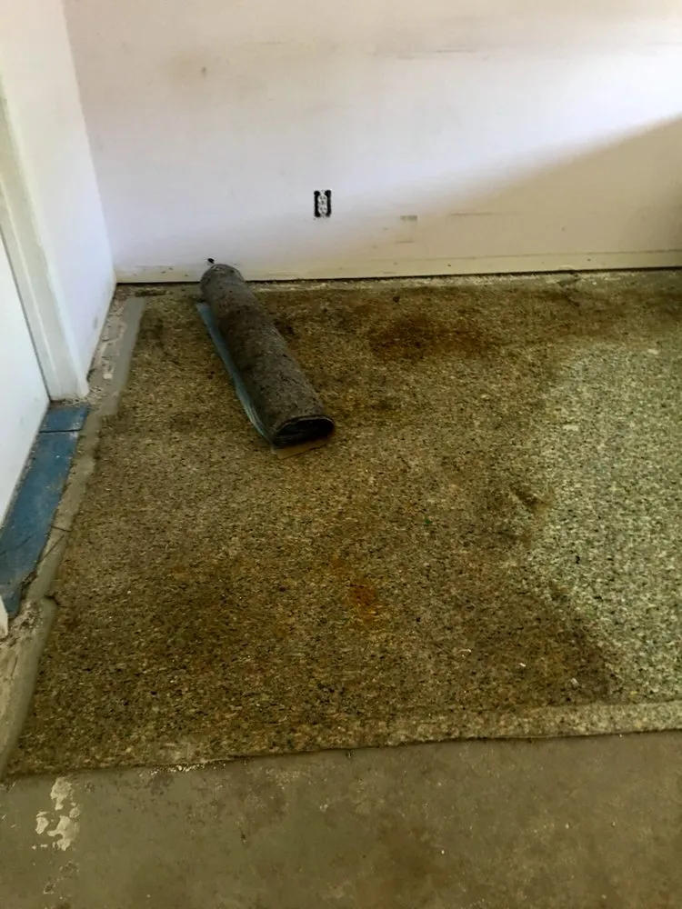 Slide of Chris Rivera