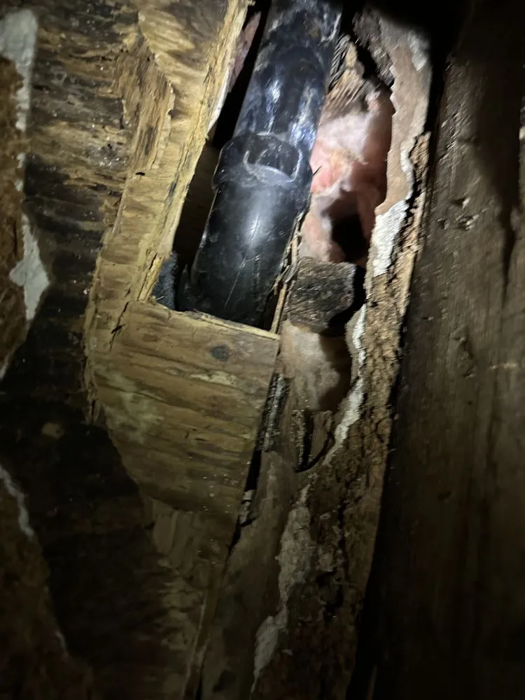 Slide of Chris The Plumber