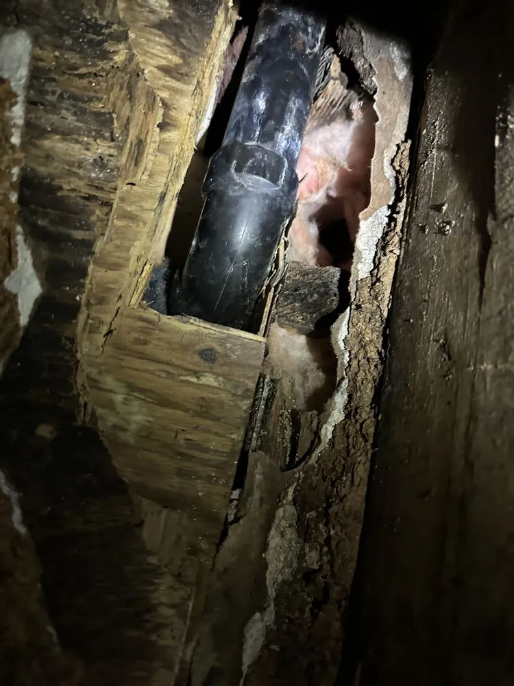 Slide of Chris The Plumber