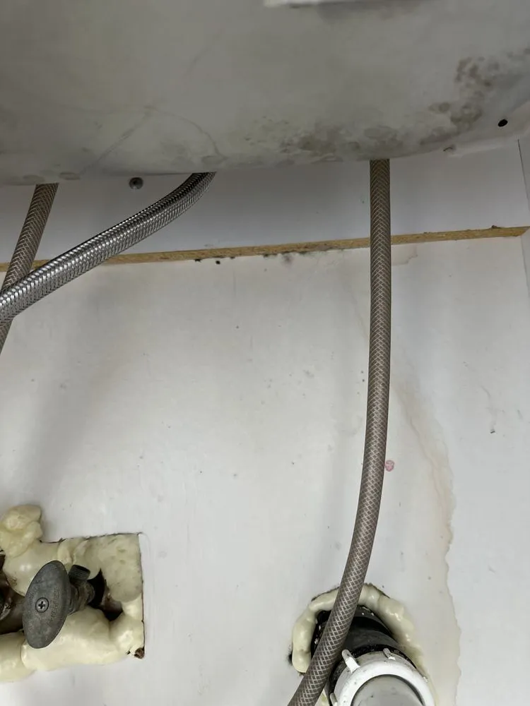 Quality drain cleaning service in New Bern, NC - Chris The Plumber