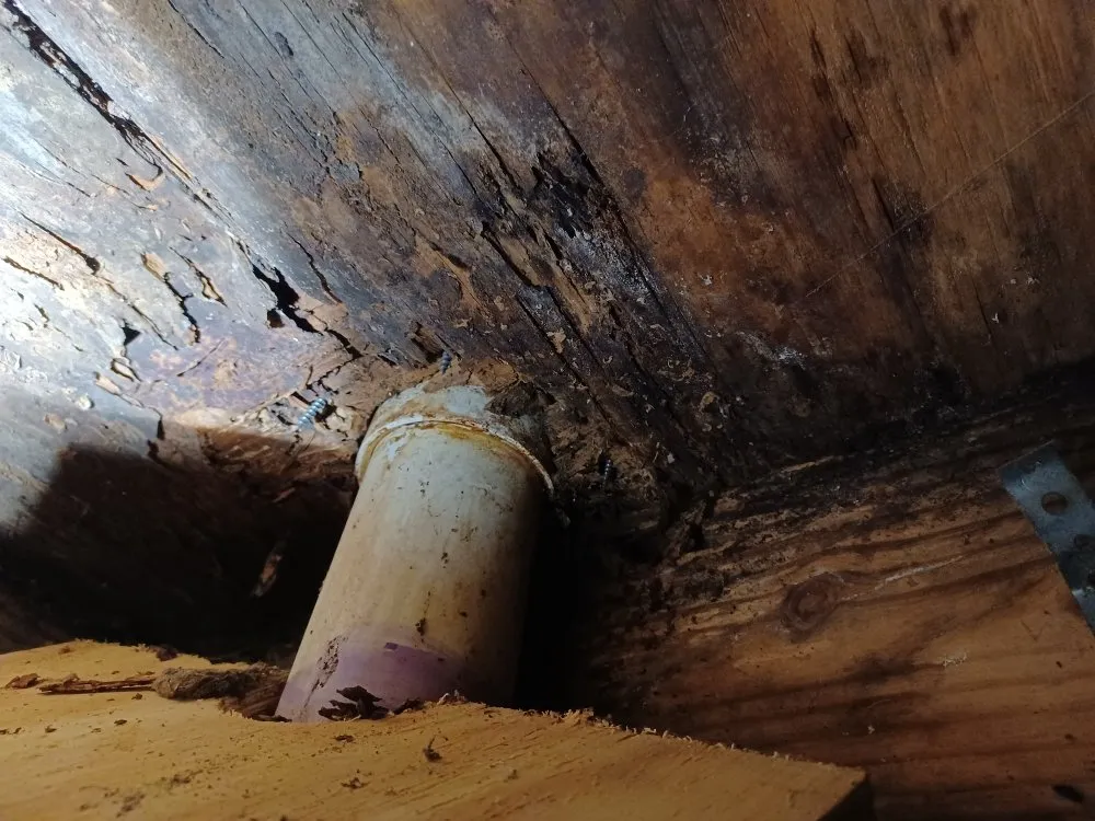 Emergency leak detection in Eatonton, GA by Christian Southern  Plumbing Solutions