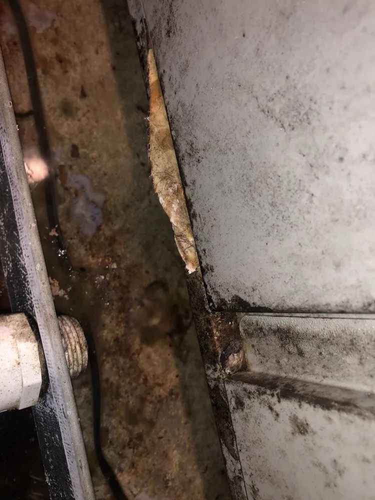 Slide of Christian's Plumbing