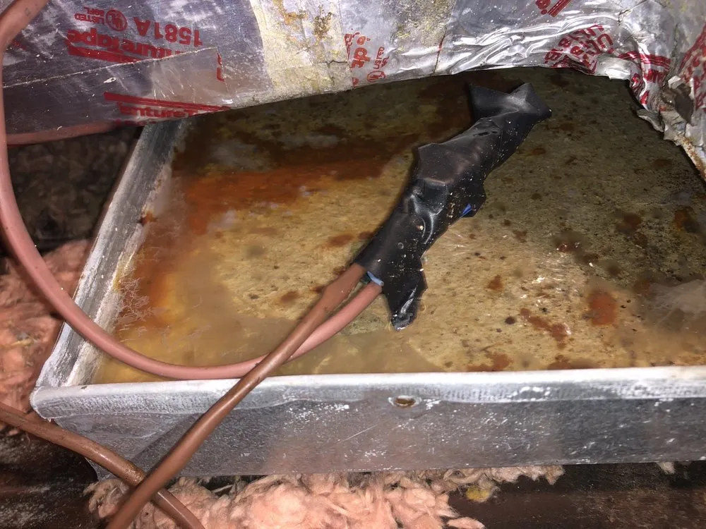 Slide of Christian's Plumbing