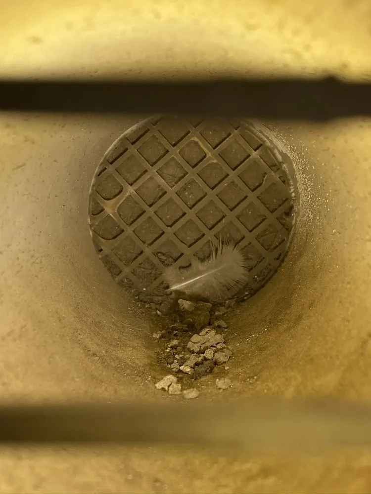 Expert drain cleaning in Corona, CA by Circle City Plumbing And Drain