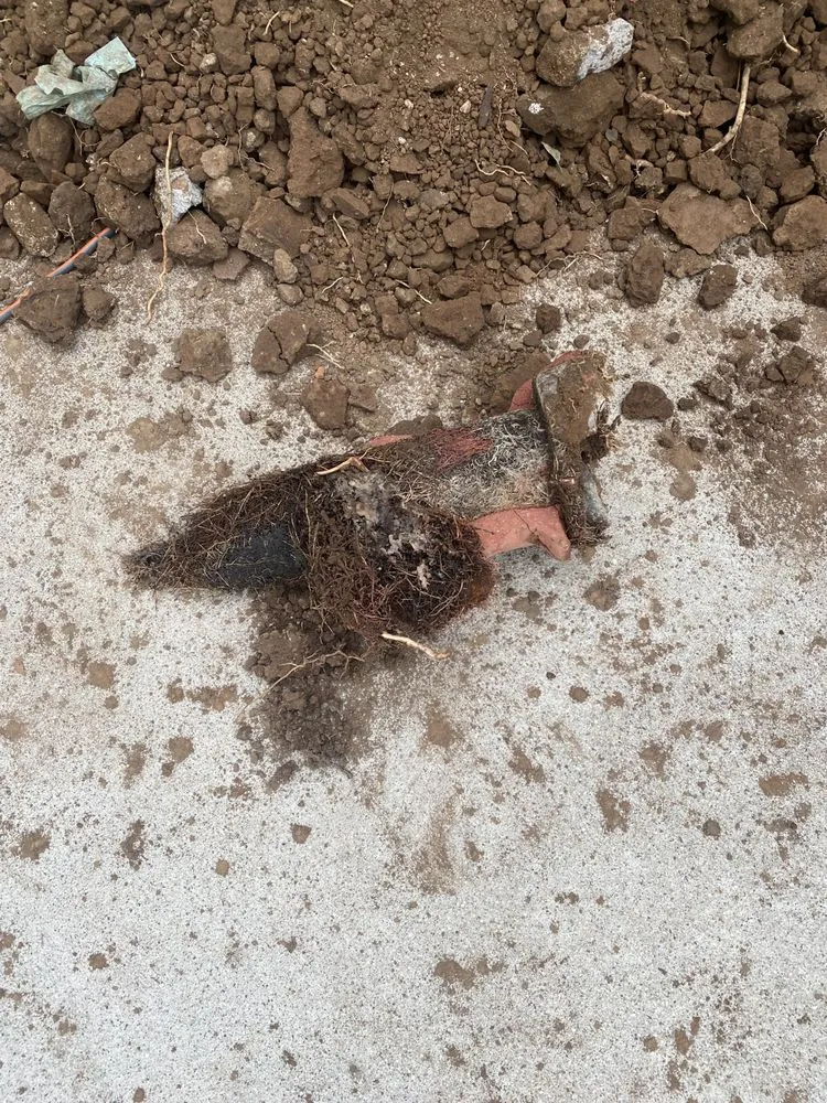 Slide of Ciscos Plumbing