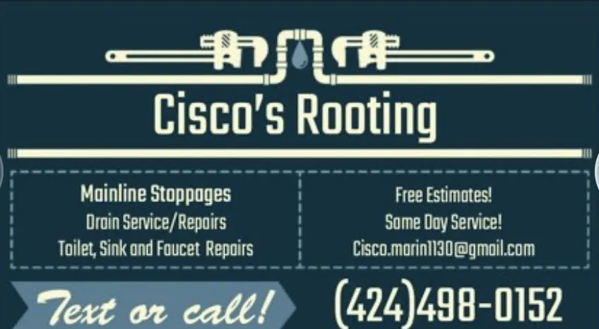 Slide of Cisco’s Rooting