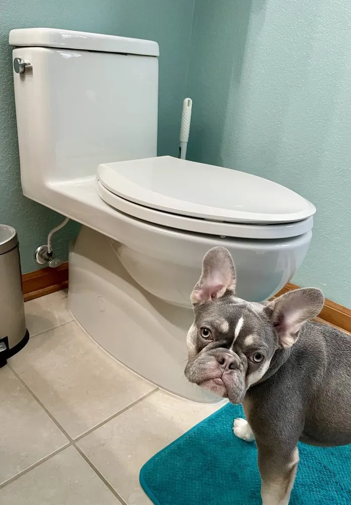 Emergency plumbing repair in Hazelhurst, WI by Citta Plumbing