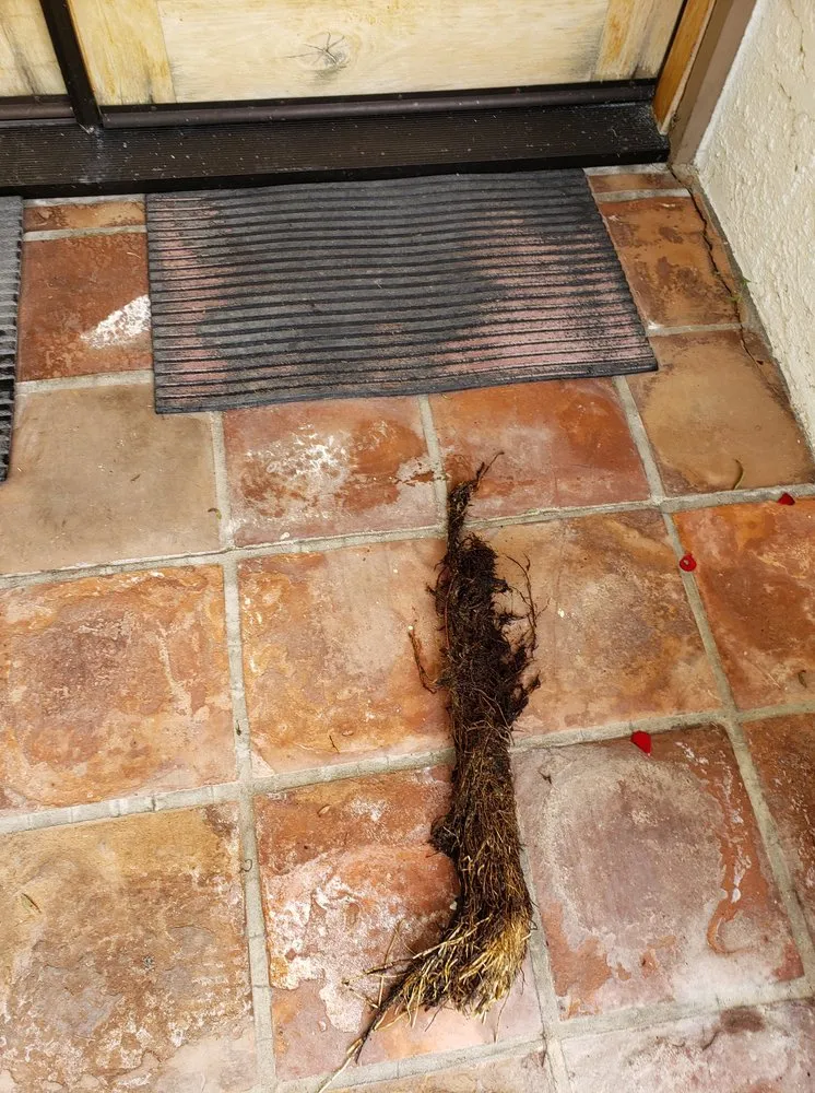 Professional plumbing repair service in Los Angeles, CA - City to City Plumbing and Hydro Jetting