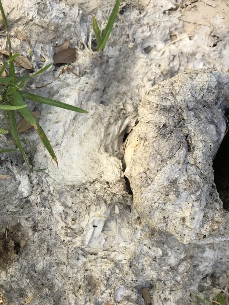 Slide of Citywide Plumbing Services