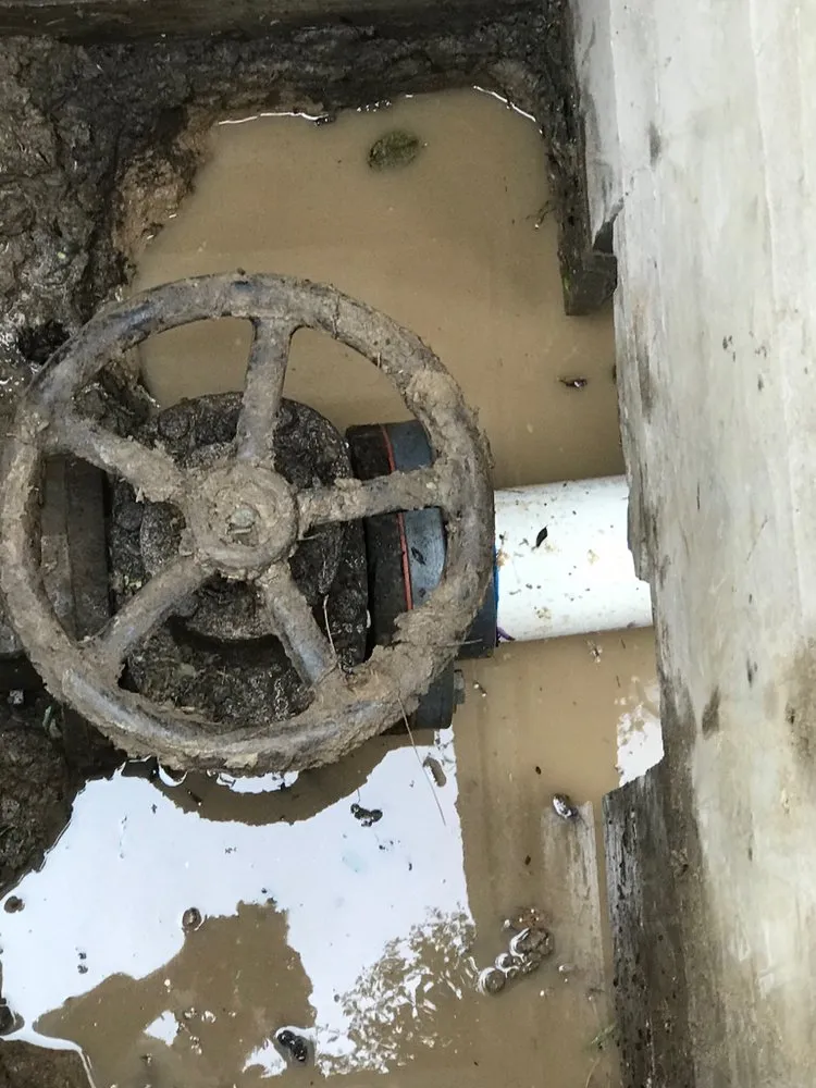 Expert drain cleaning experts serving Houston, TX - Citywide Plumbing Services