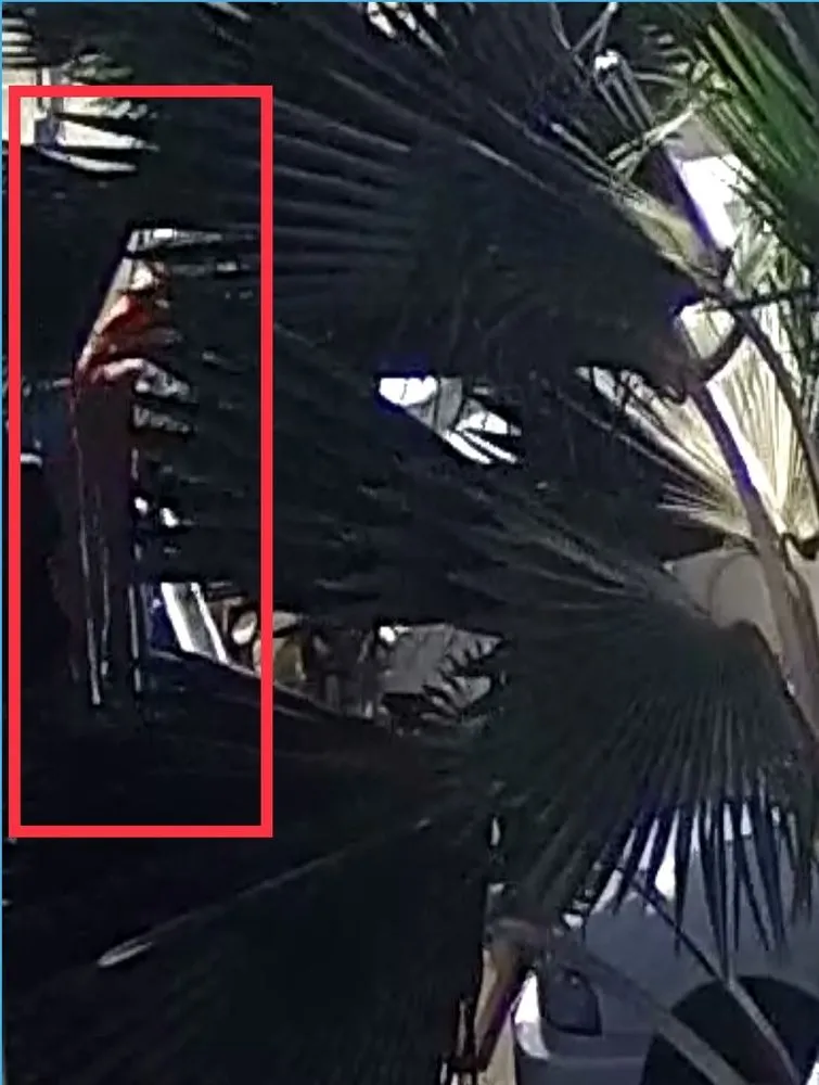 Slide of CJ Plumbing