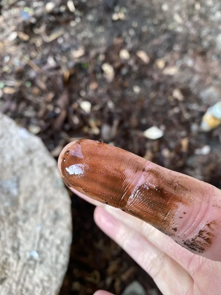 Slide of CK Plumbing