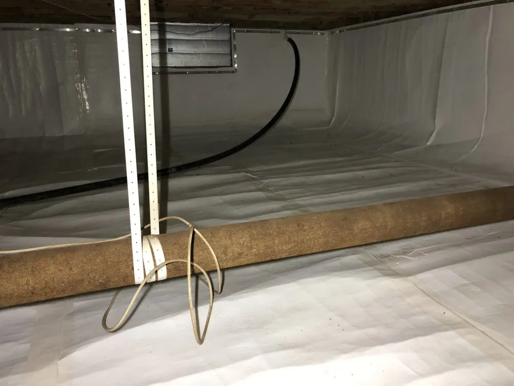 Slide of CK Services