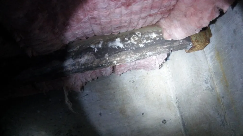 Slide of CLA Construction Decking & Drainage