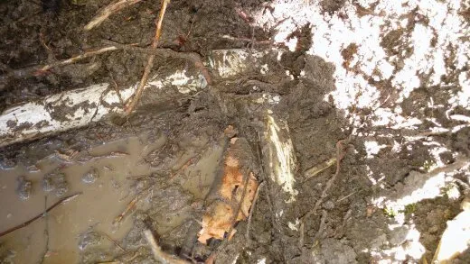 Slide of CLA Construction Decking & Drainage