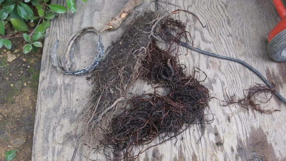 Reliable water heater service in Tracy, CA by CLA Construction Decking & Drainage