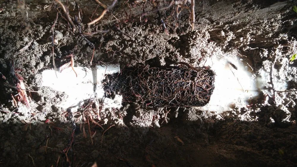 Slide of CLA Construction Decking & Drainage