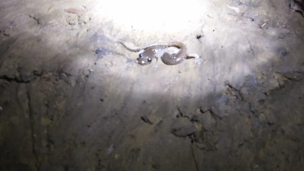 Trusted pipe repair service in Pleasanton, CA - CLA Construction