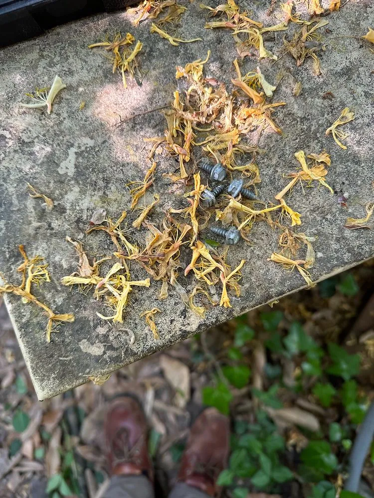 Slide of Classic Aire Care