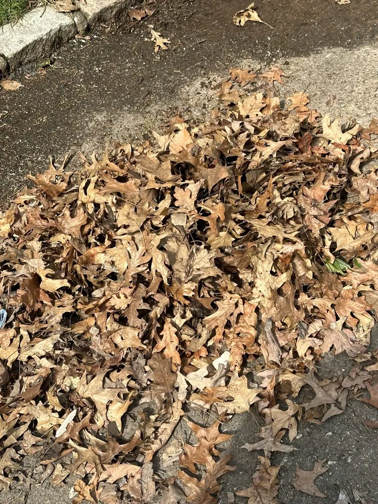 Slide of Clean Drain