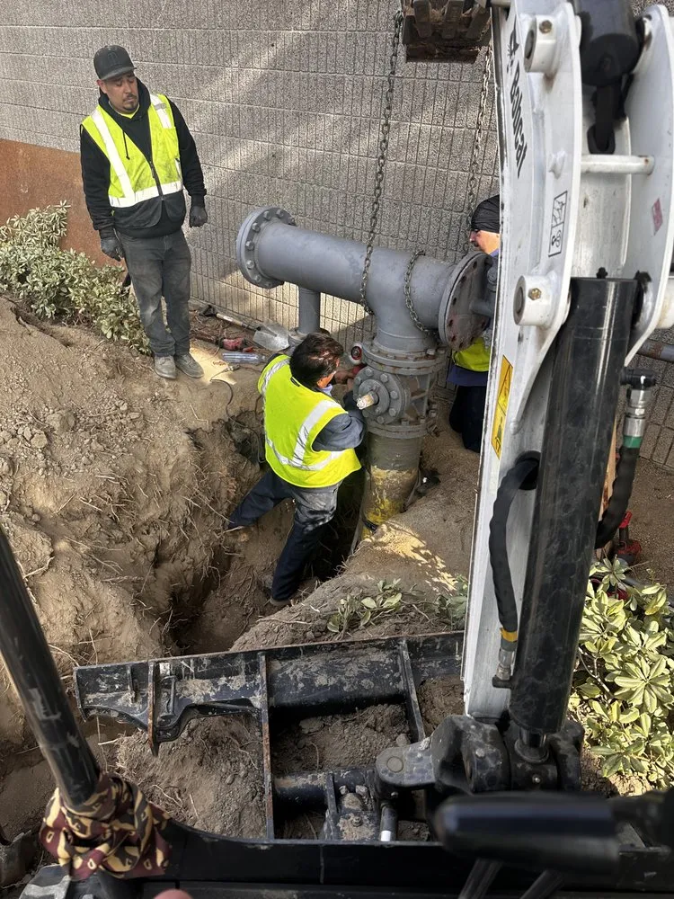 Slide of Clean-Out King's