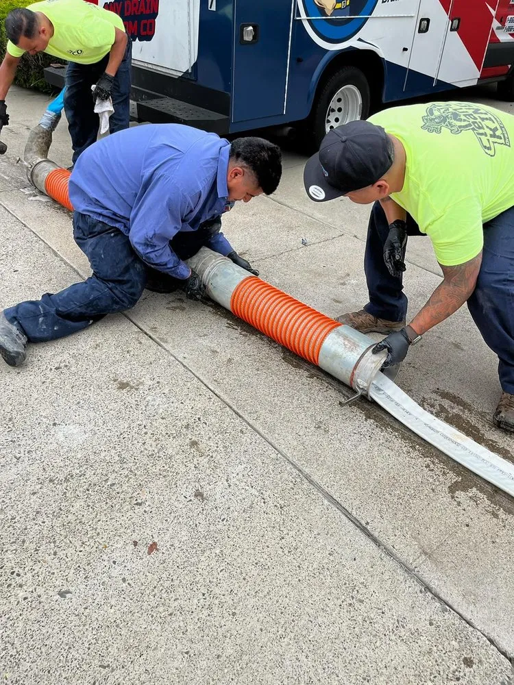 Slide of Clean-Out King's