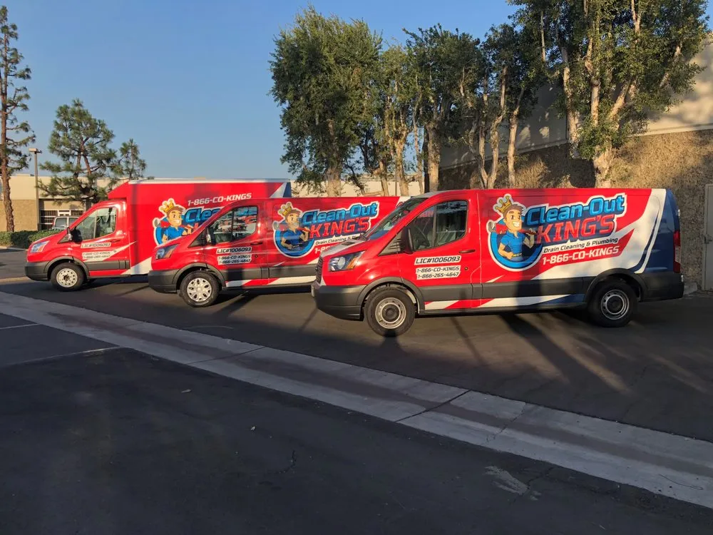 Slide of Clean-Out King's