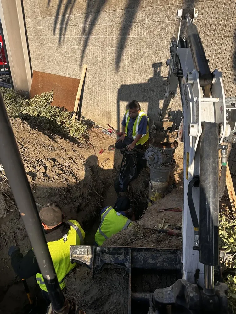 Slide of Clean-Out King's