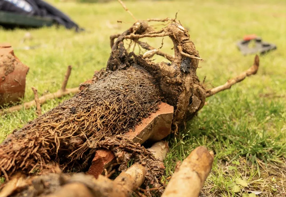 Slide of Clean Out Plumbing & Rooter