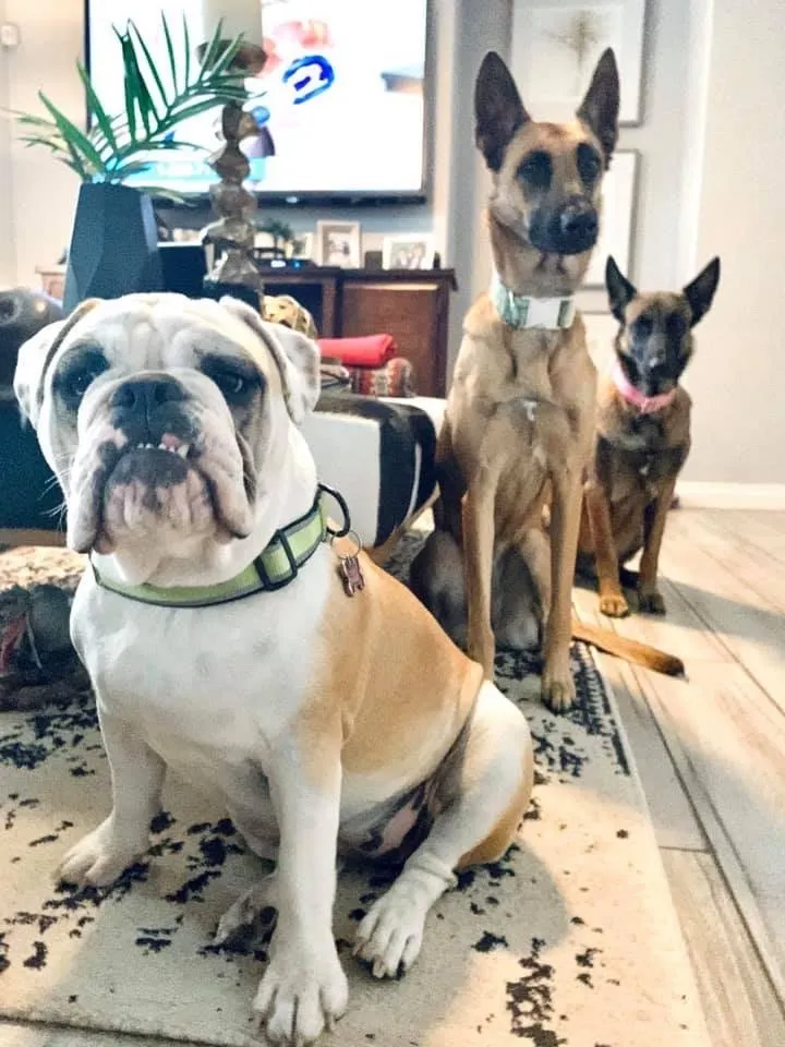 Slide of Clean Rite Drain & Plumbing Service