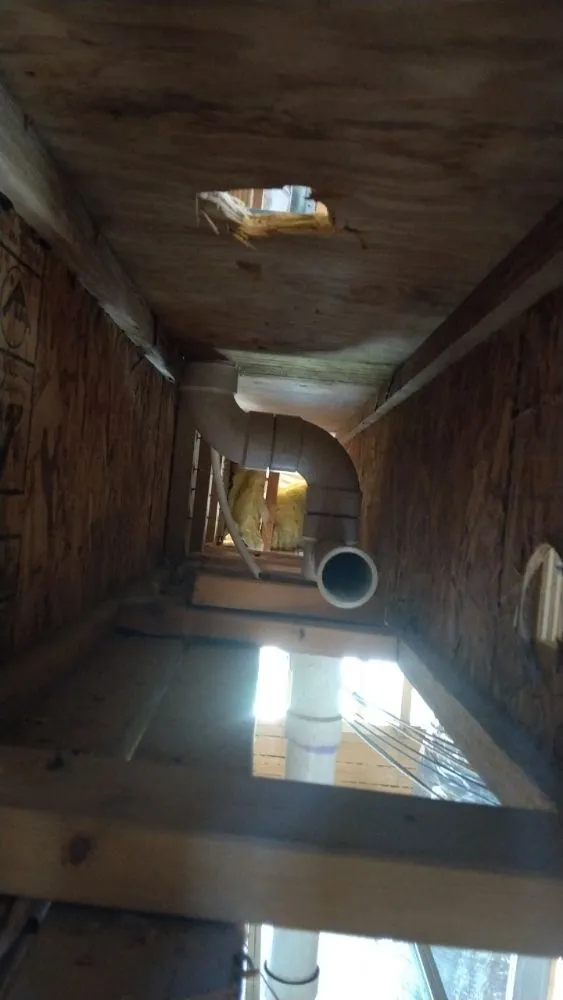 Emergency leak detection for homes in Bonita Springs, FL by Cleaner Plumbing Solutions