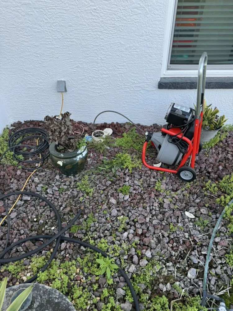 Slide of Clear Drains