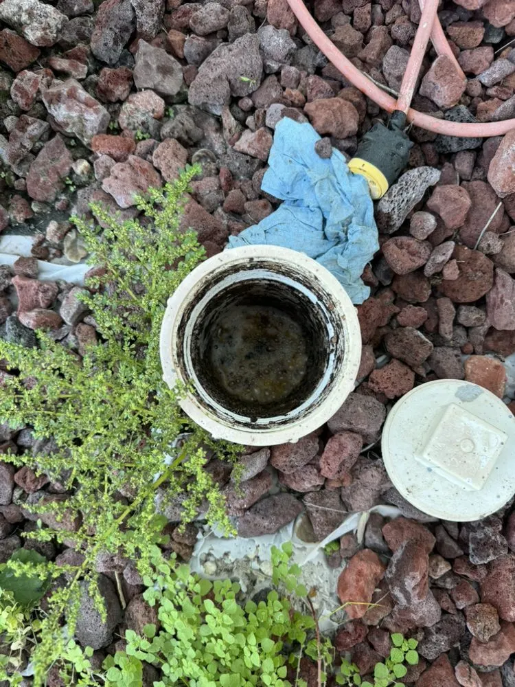 Slide of Clear Drains