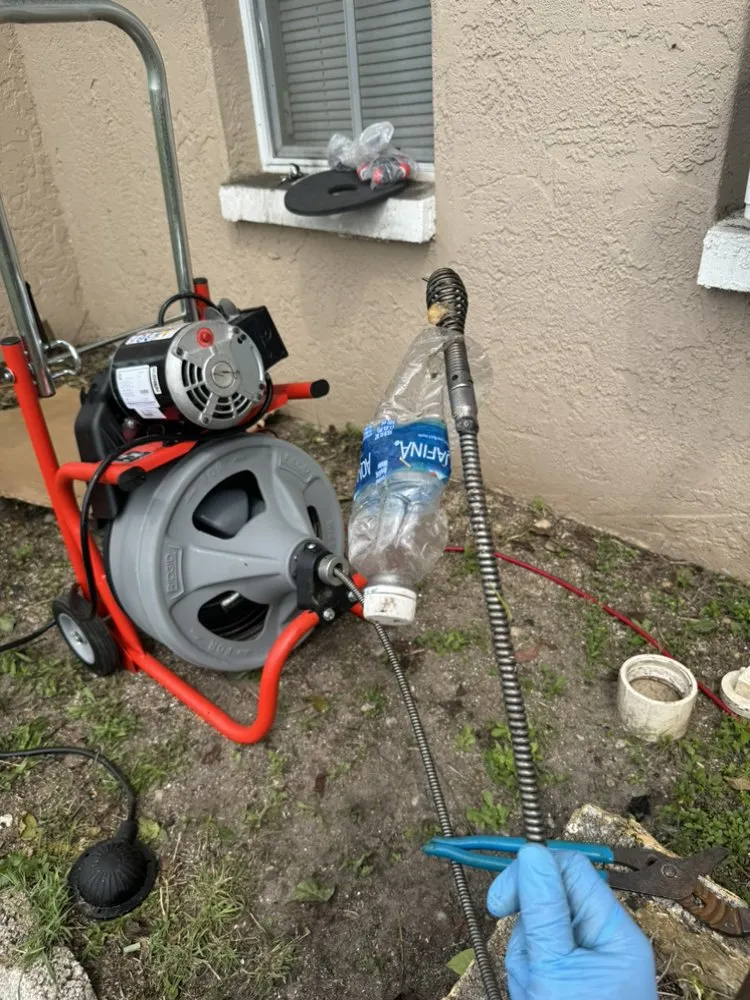 Slide of Clear Drains