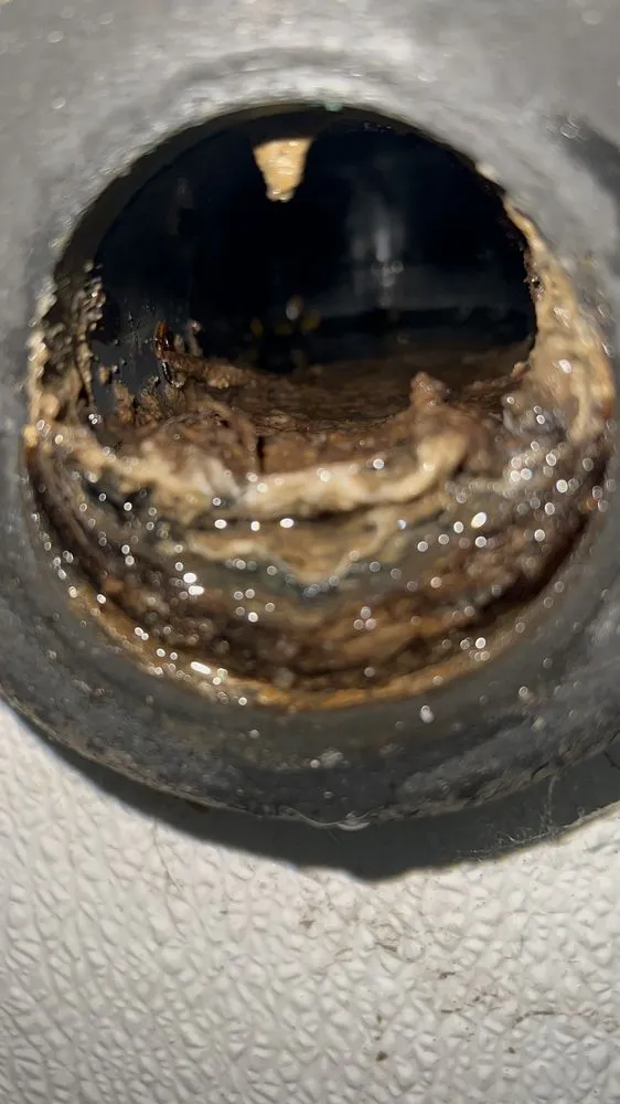 Professional drain cleaning service in Arbuckle, CA - Clear Line Plumbing