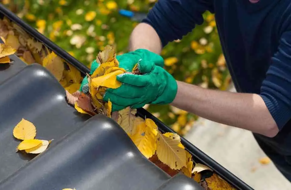 Slide of Clear View GS