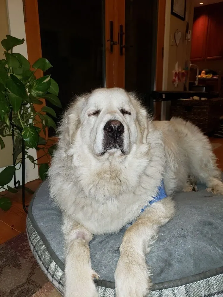 Slide of Clear Wood Plumbing