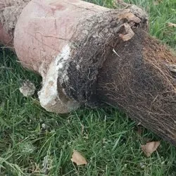 Slide of Clearwater Plumbing Services