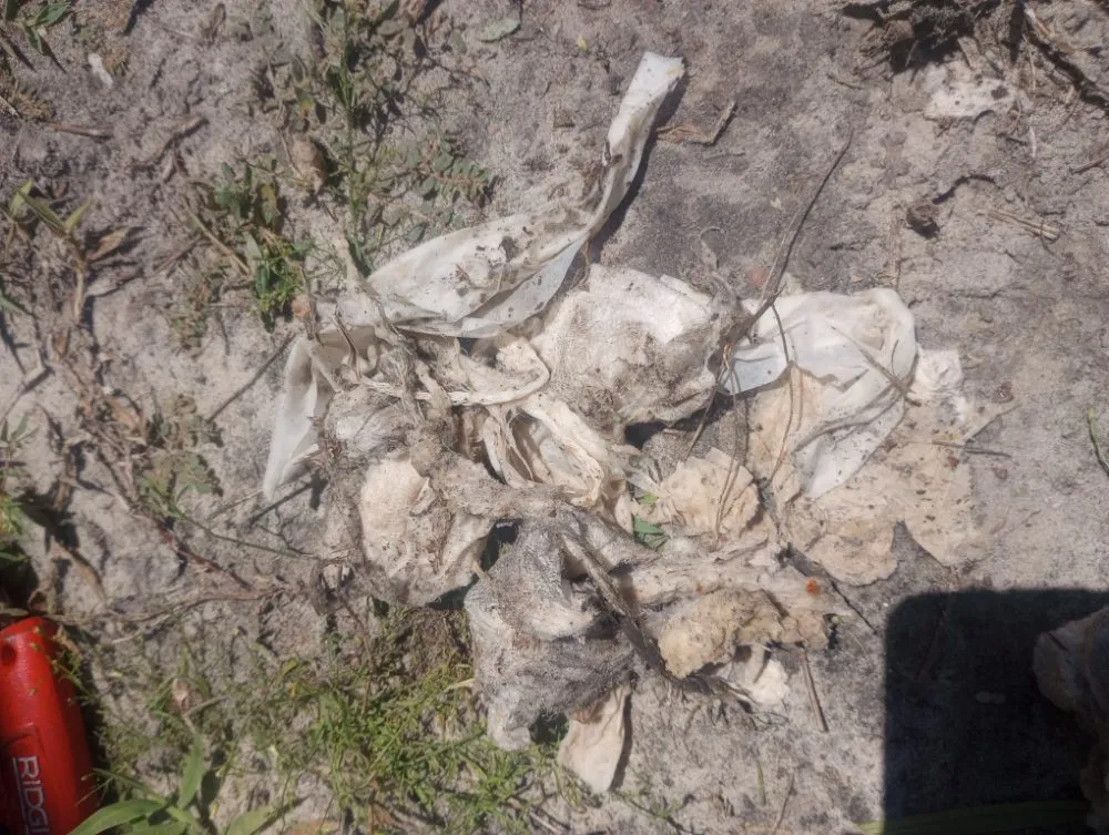 Slide of Cleaver's Plumbing Solutions