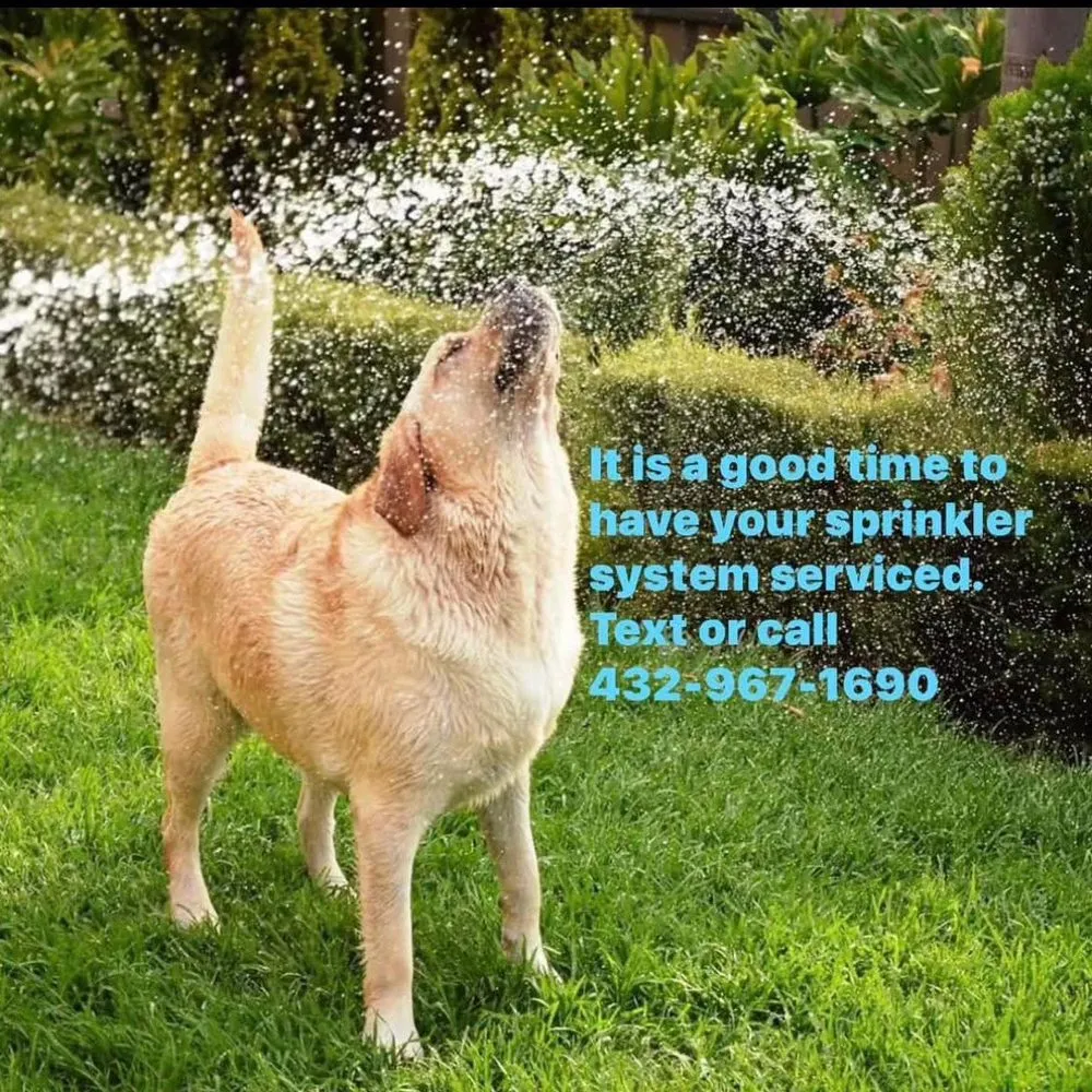 Slide of Clements Lawn Service