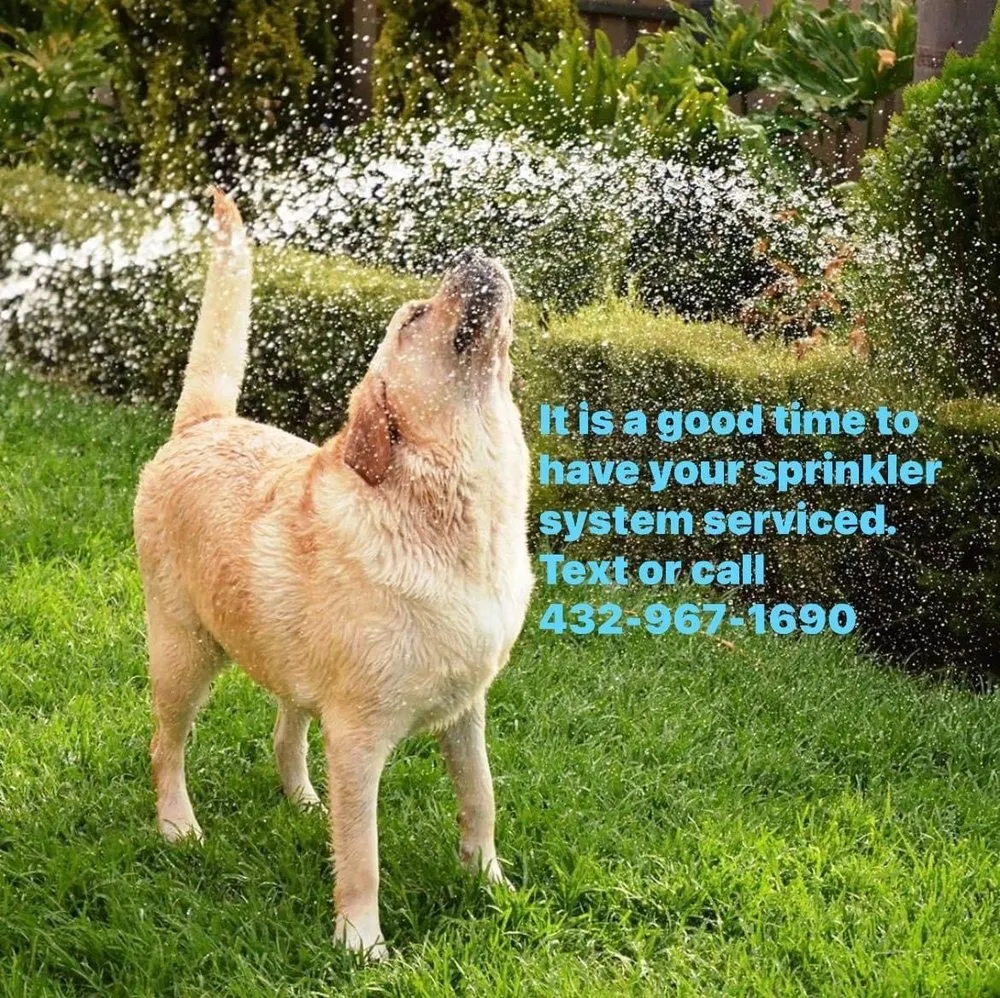 Slide of Clements Lawn Service