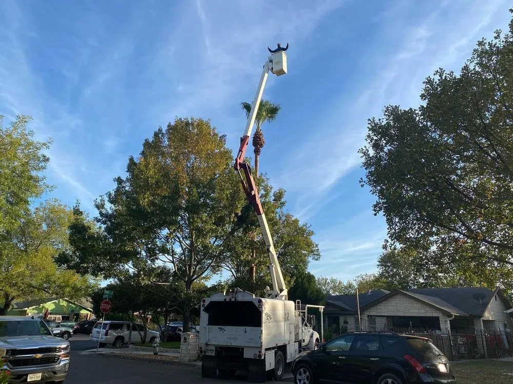 Top-rated drain cleaning in Midland, TX by Clements Lawn Service