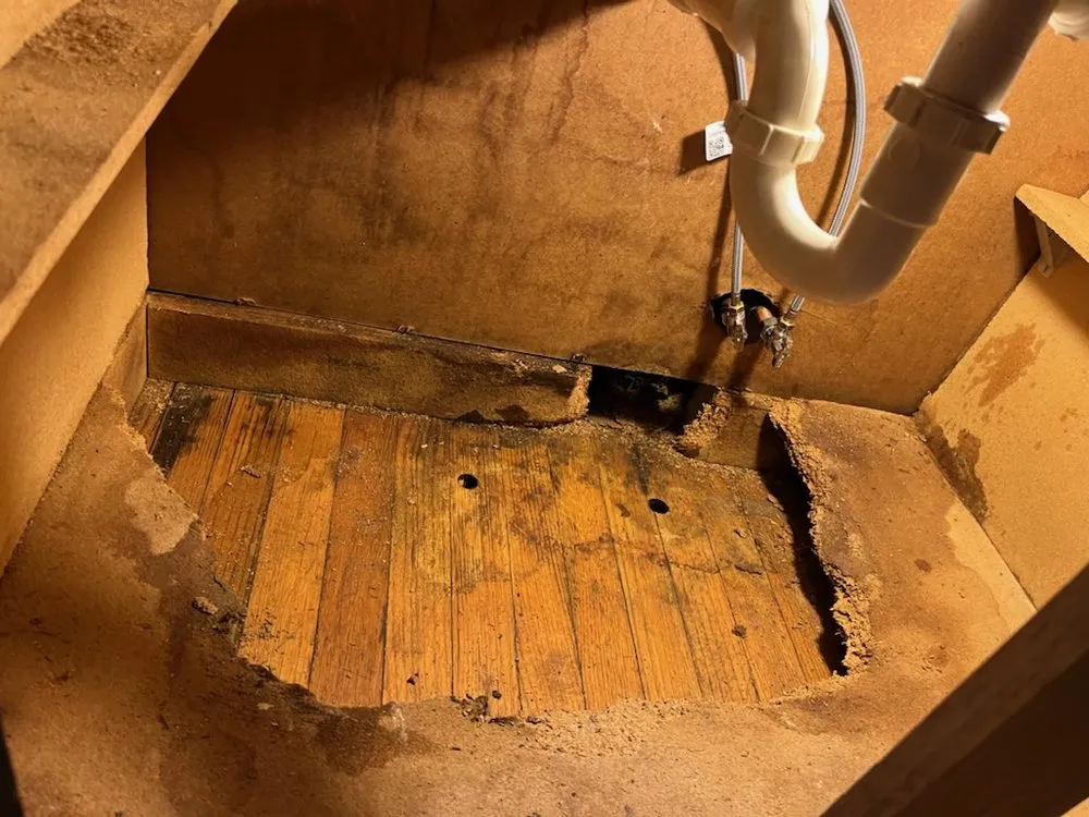 Quality drain cleaning for homes in St Louis, MO by Cliff Litsch