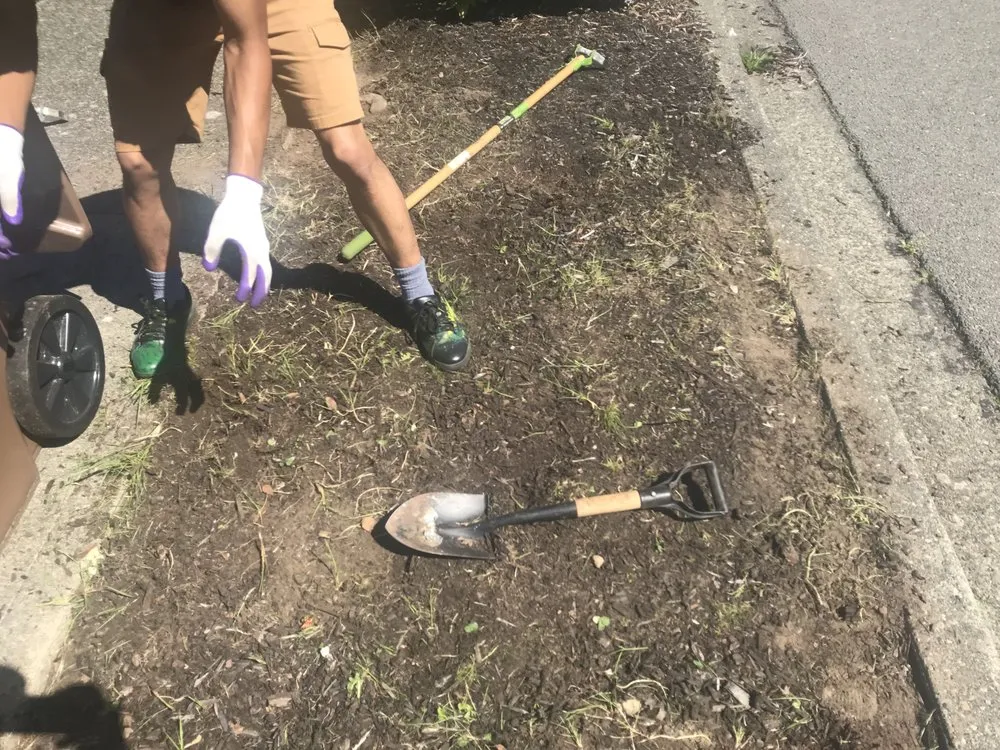 Slide of Cline & Maib