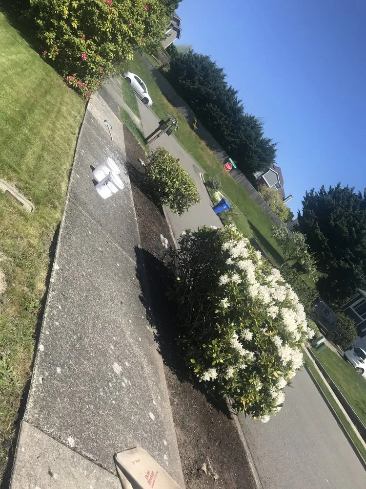 Slide of Cline & Maib