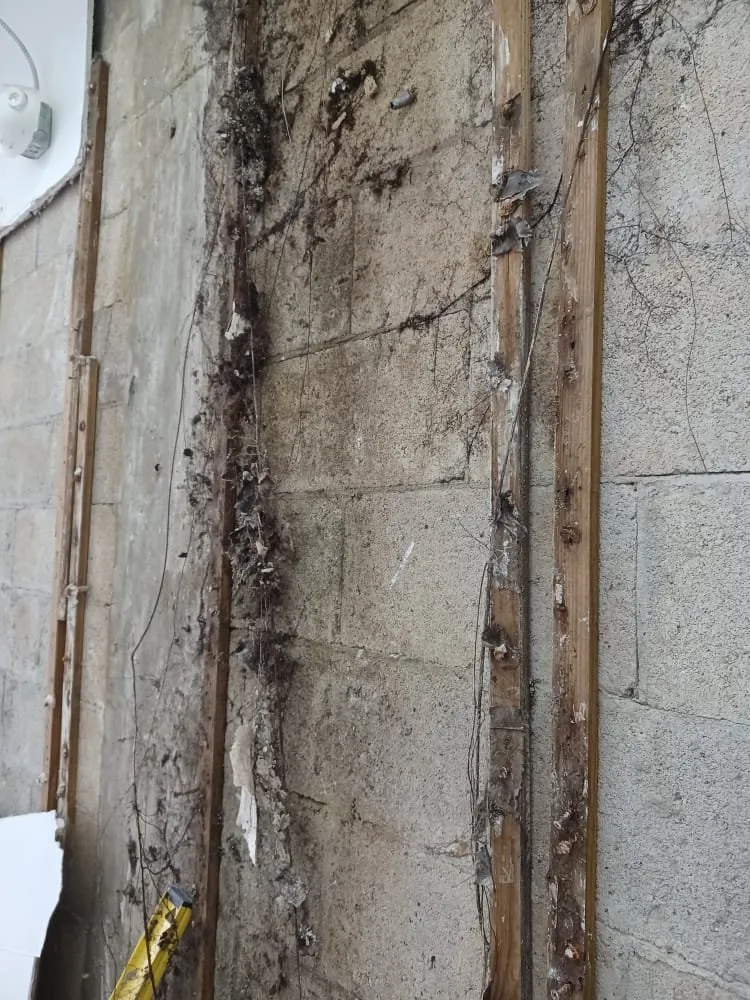 Slide of Clinton's Painting and Maintenance